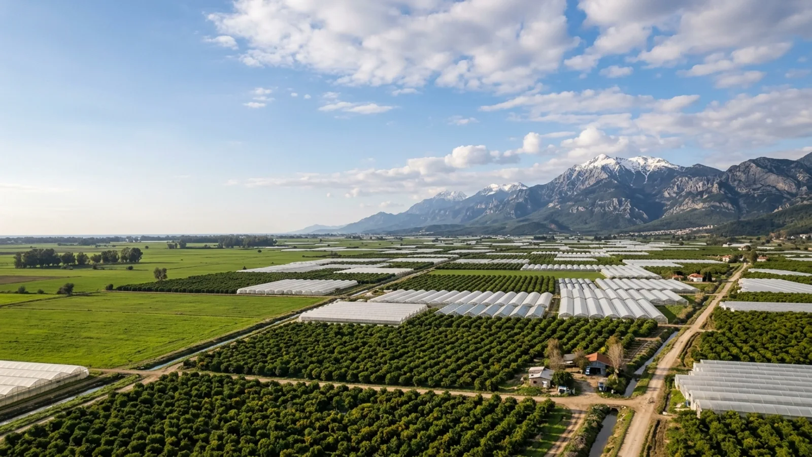 Aksu, Türkiye — the flat green farmland of the Aksu plain just east of Antalya, greenhouses and citrus groves with the Taurus mountains on the horizon.