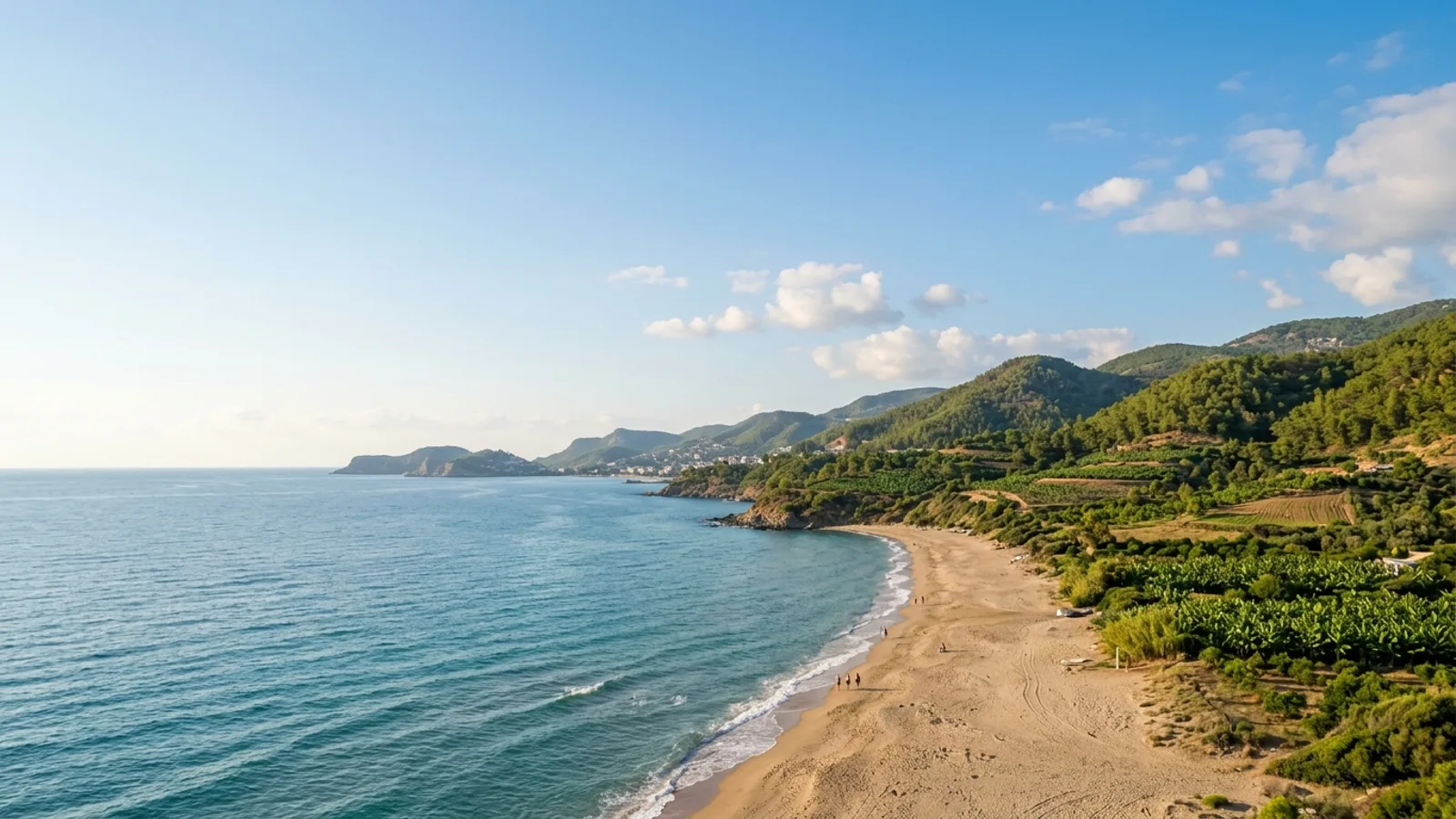 Avsallar, Türkiye — the coast at Avsallar west of Alanya, a sandy beach below green hills with pine woods and banana plantations behind.