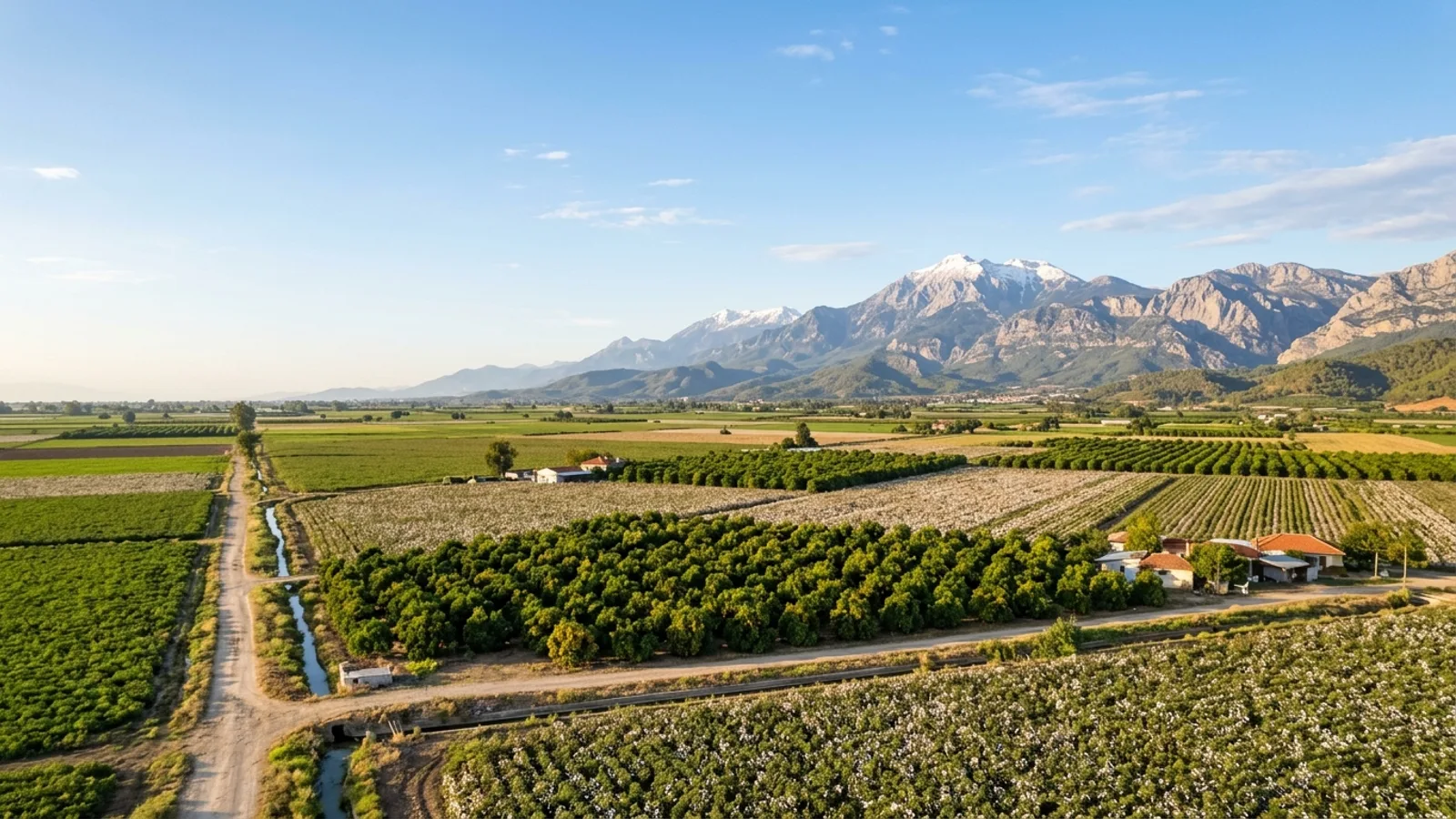 Serik, Türkiye — the farmland around Serik inland from the Antalya coast, cotton and citrus fields on a flat plain with the Taurus mountains on the horizon.